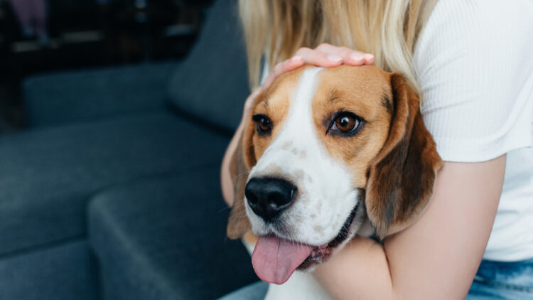 What To Do After A Dog Bite Injury